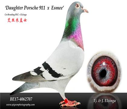 ĸƬ