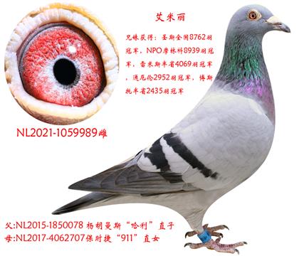 ĸƬ