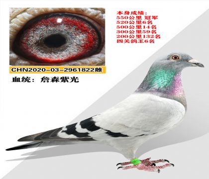 Ѫͳ ղɭϹ