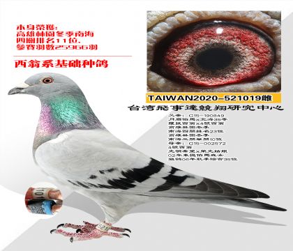 ϵָ