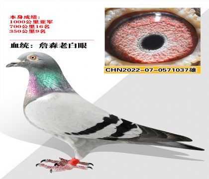Ѫͳ ղɭϰ