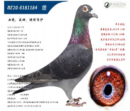 δ