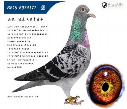 Ͽ.޵н׻Ѫֹ