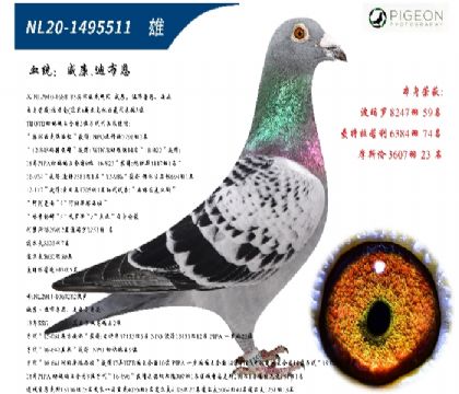ϲ쫷ֱӣ룩