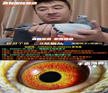 塷¹xݾ91