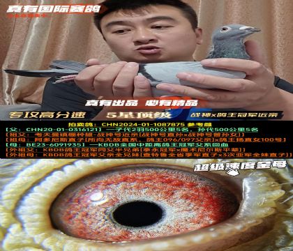 ר߷١սx