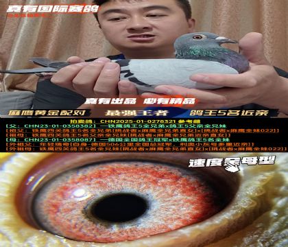 ָۡӥ׻Ѫ