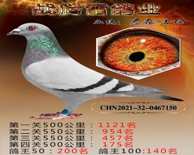 ղɭСǱ