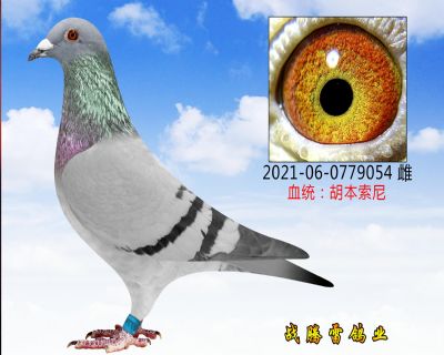 ִ