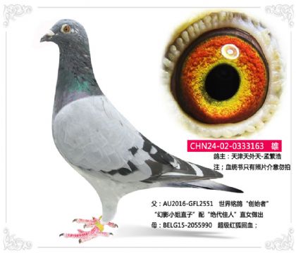 -Ϸ	---Ѫ163   