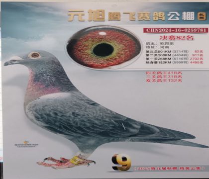 Ԫڷ빫50084   	