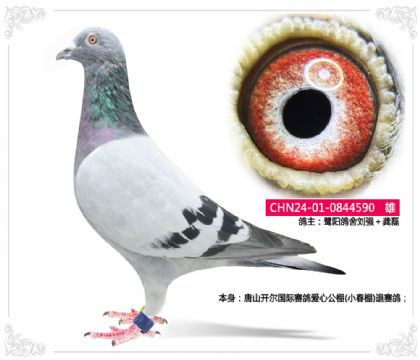 ɽ밮Ĺ(С)  