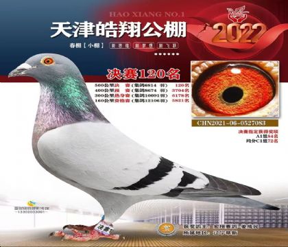 蹫С500120   	
