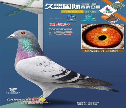 ӱ˹빫500512   	