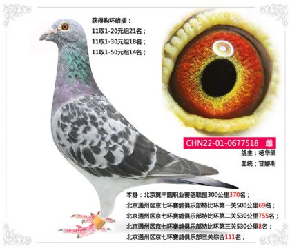 ͨ߻ֲرȻ5308