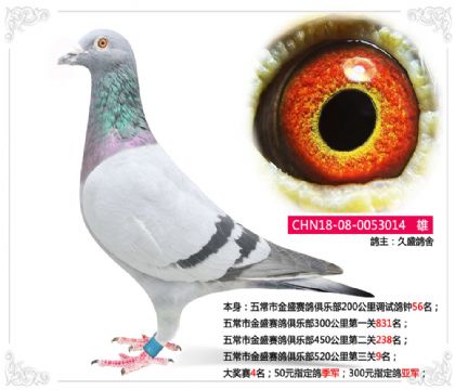 峣нʢֲ5209  	