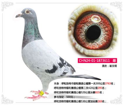 ͺ빫530վ269   	