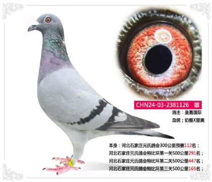ӱʯׯԪϸرȻ500165   	