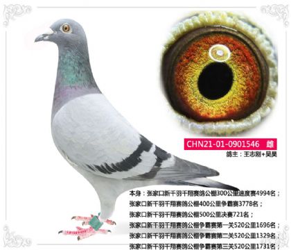 ־+--ǧǧ蹫500721  	