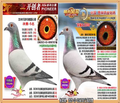 500ھ俪5ֱ