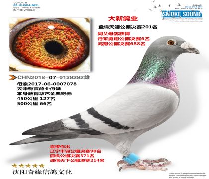 αĸֱӣ񴹫201