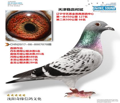 Ӯα󣨳ĸ