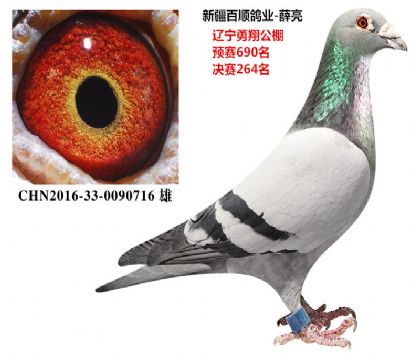 ½˳ҵ蹫264Ǳ