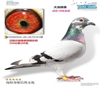 ֲͯ550109
