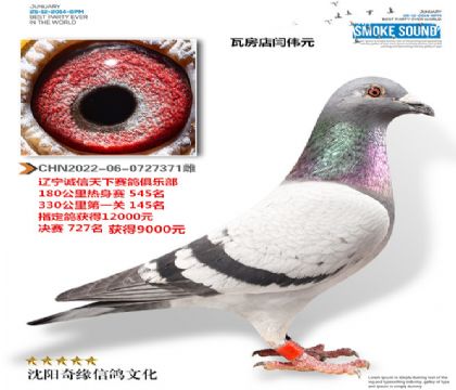 ΰԪ003Ѫͳ¹񽱸