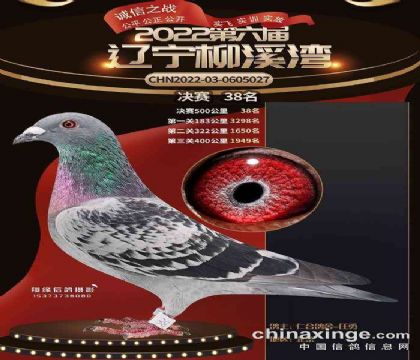 Ϫ빫38 003Ѫͳ