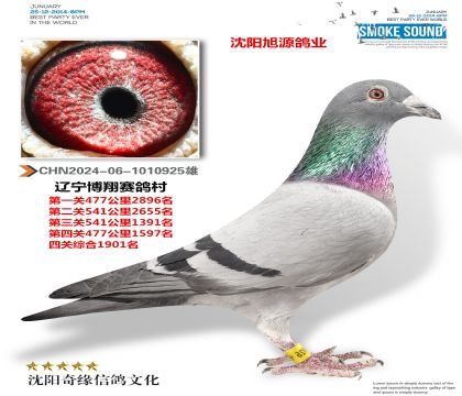 Դҵв弸W