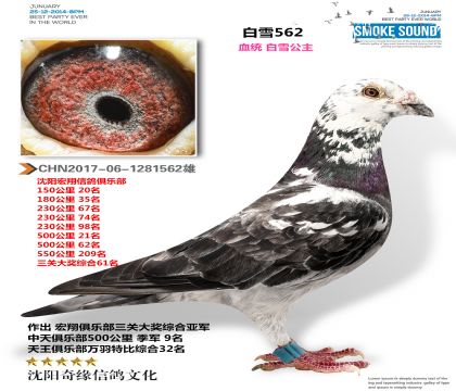 ѩӢۣ룩