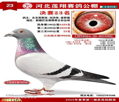 贺23