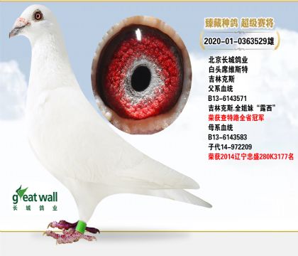 Ǹҵͷϯά˹ؼֿ˹
