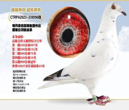 ̨뼯ŹҰѪϵۺǾ