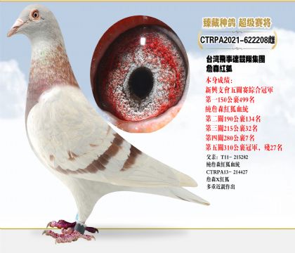 ̨輯ղɭۺϹھ