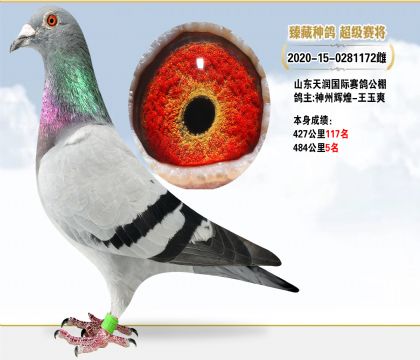 ɽ빫ˬ4845