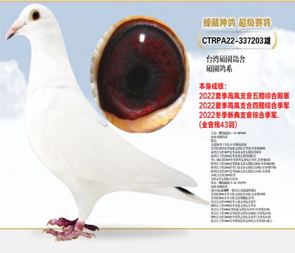 ̨˶Բ˶ԲϵĹۺϼ