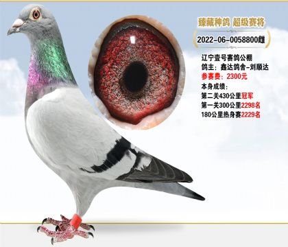 Ҽ빤˳430ھ