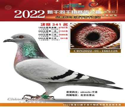 ǧǧ蹫341