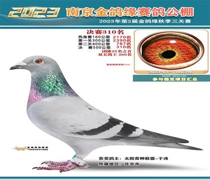Ե310