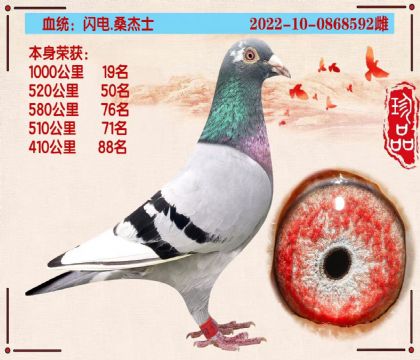 ɣʿ