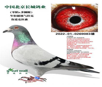ǸҵȱXȦۡ