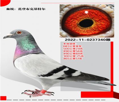 ǲˡض683Ǿ