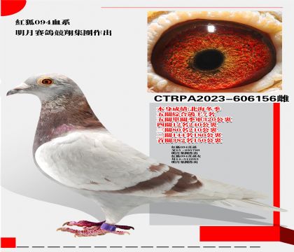 ̨094Ѫϵ