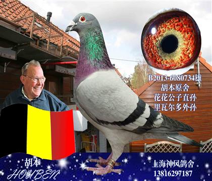 游