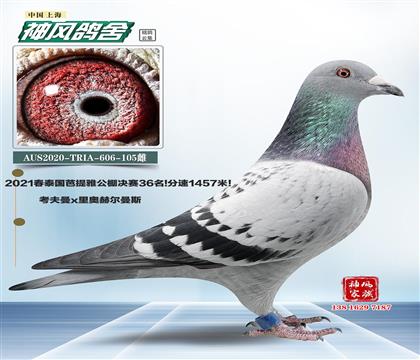 ĸ