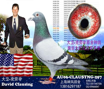 ⹫