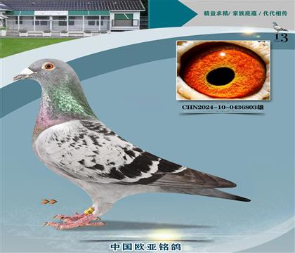 ºض˹855Xš019ŷǻƽ