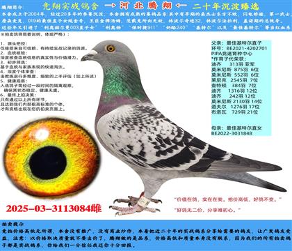 ߼ָ롢ѻضֱXѻضֱŮ